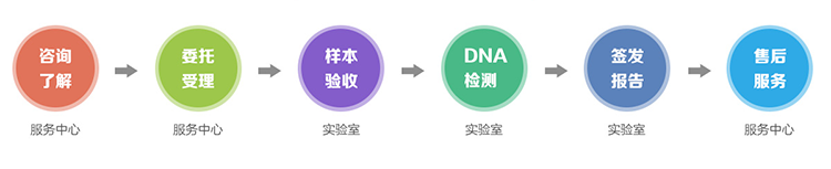 个人亲子鉴定流程 个人亲子鉴定流程